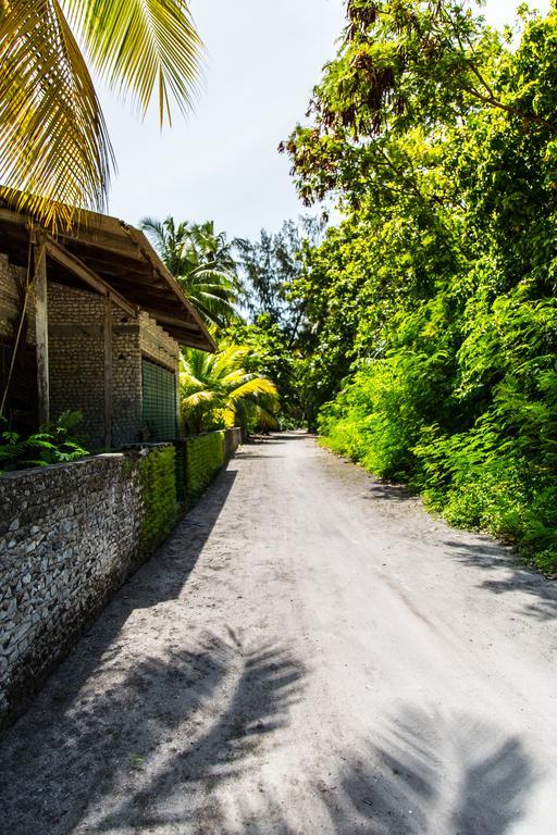 Villa Rosa Maldives Feridhoo エクステリア 写真